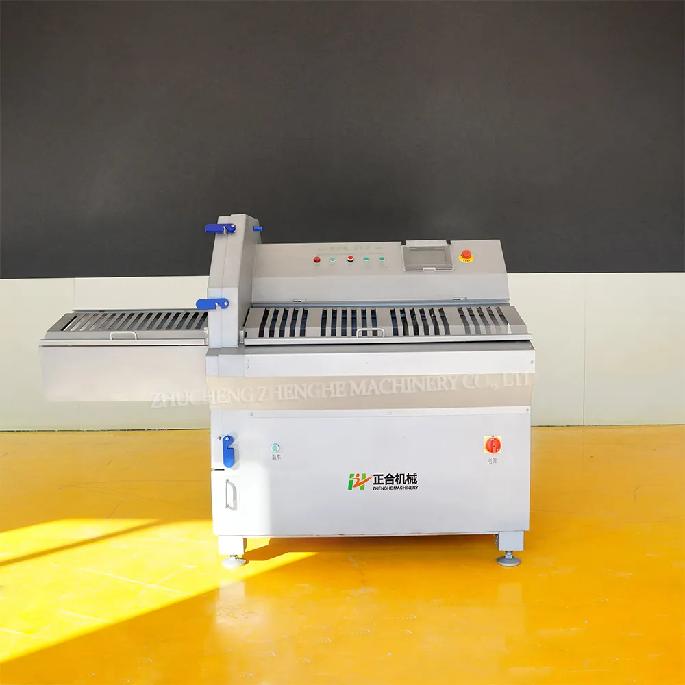 6KW 1-18mm Cnc rollos de cordero rollos de carne de res tiras de carne máquina de corte de carne - Cortadora de carne - foodmachtech
